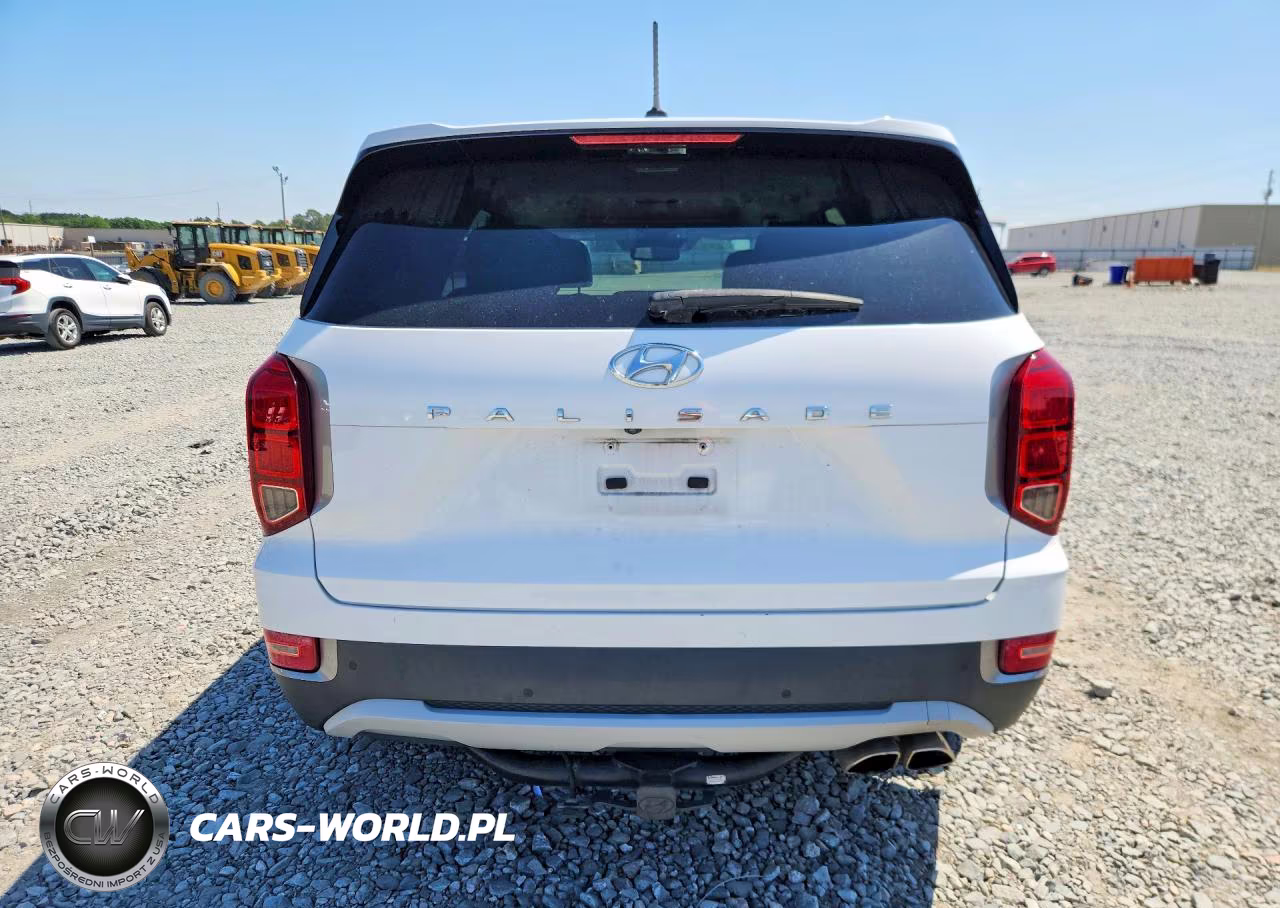 2020 Hyundai Palisade Sel VIN:KM8R24HE0LU119958 - 6