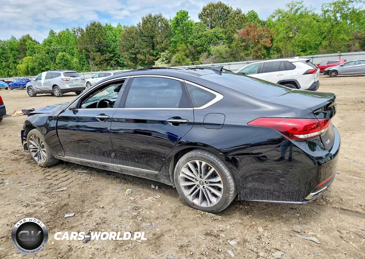 2017 Genesis G80 3.8 VIN:KMHGN4JE3HU171231 - 2