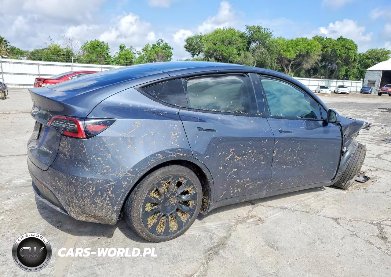 2023 Tesla Model Y VIN:7SAYGDEE0PA079210 - 3