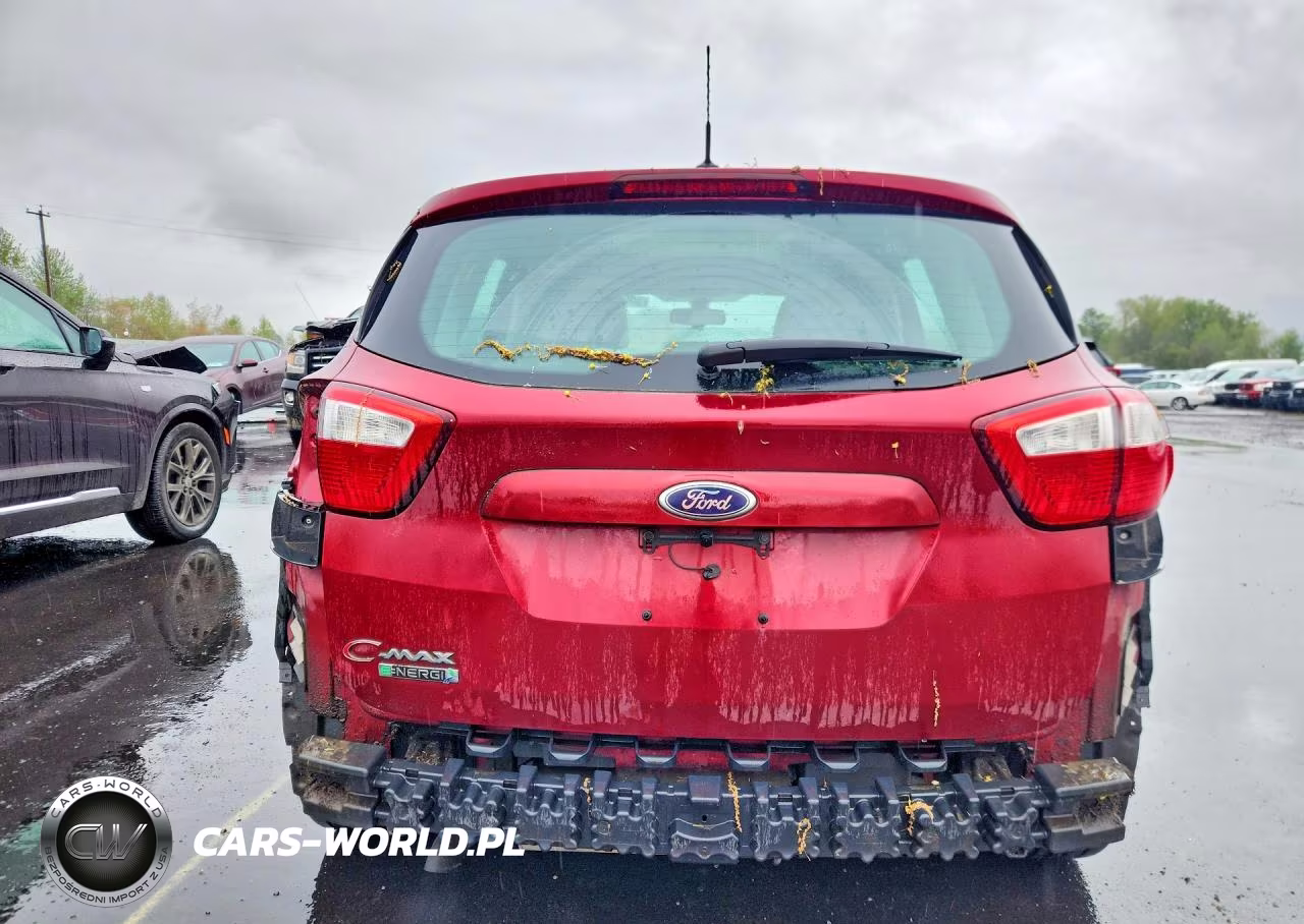 2016 Ford C-Max Premium Sel VIN:1FADP5CU7GL109417 - 6