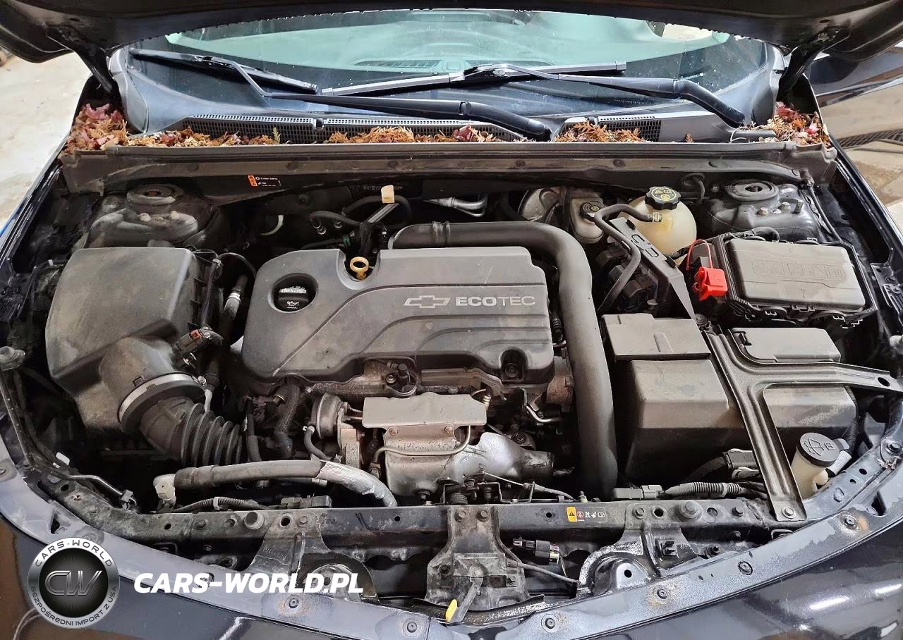2018 Chevrolet Malibu VIN:1G1ZC5ST3JF159735 - 11