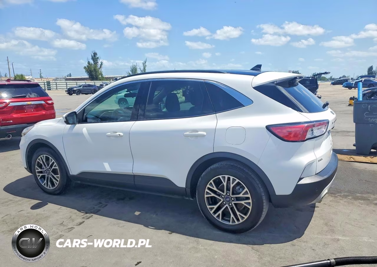 2020 Ford Escape Sel VIN:1FMCU0H66LUA35564 - 2