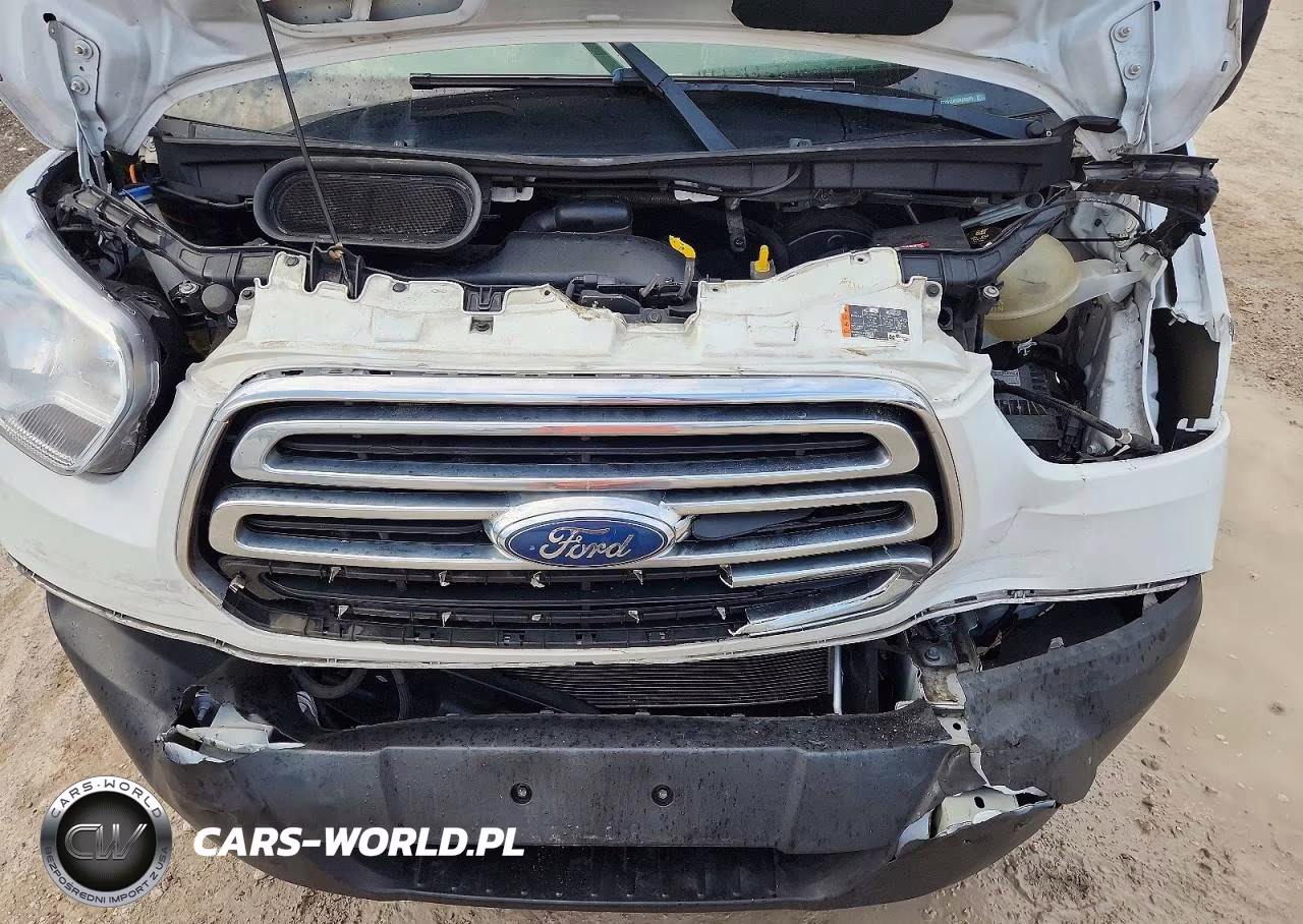 2019 Ford Transit T-250 VIN:1FTYR1ZM5KKA89365 - 12