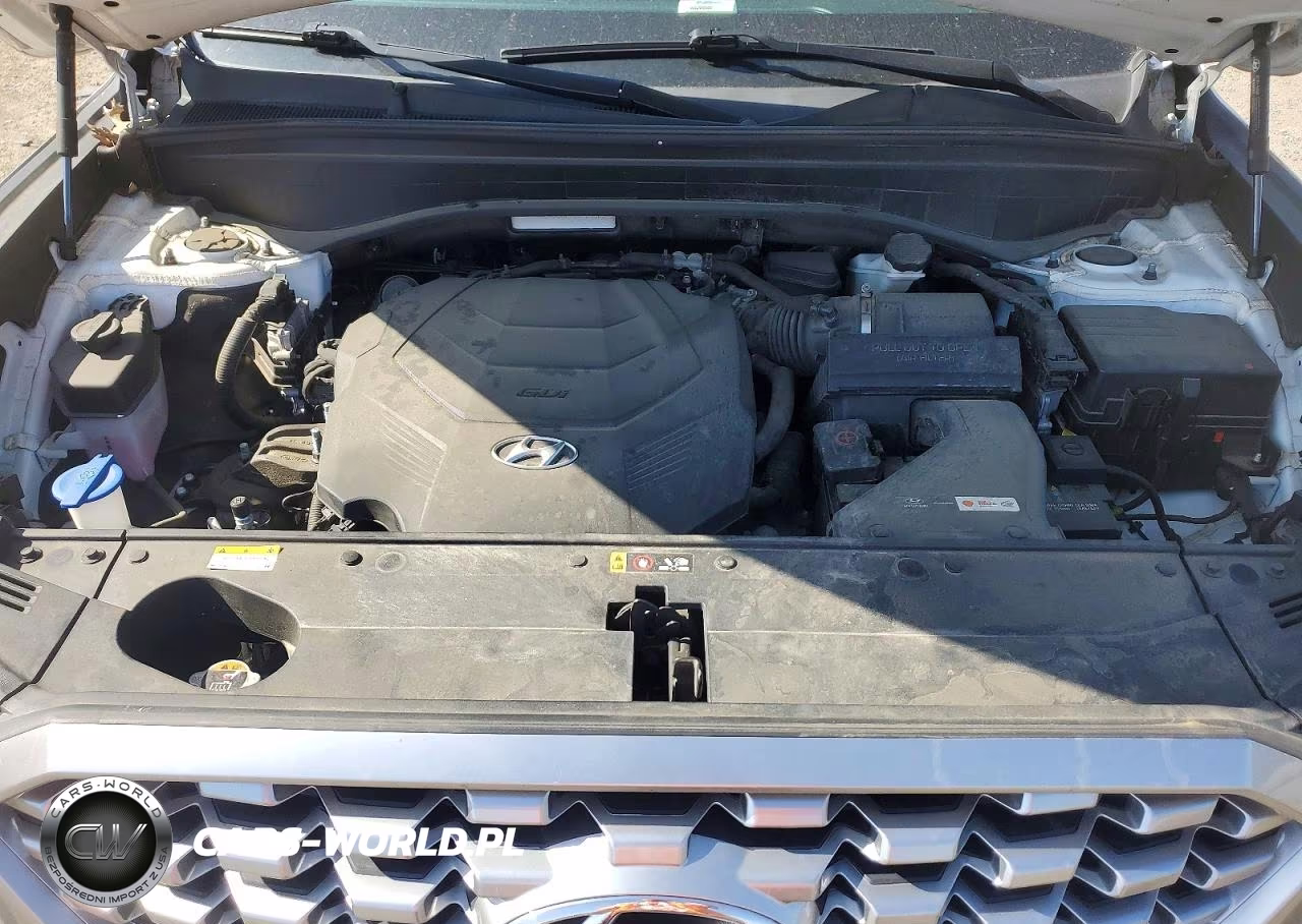 2021 Hyundai Palisade Sel VIN:KM8R3DHE7MU223569 - 12