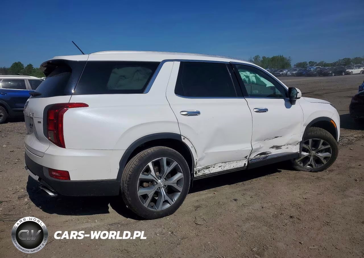 2021 Hyundai Palisade Sel VIN:KM8R3DHE7MU223569 - 3