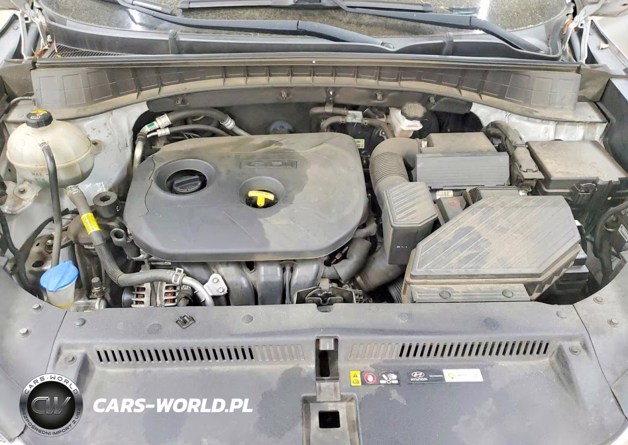 2019 Hyundai Tucson Se VIN:KM8J23A43KU880457 - 12