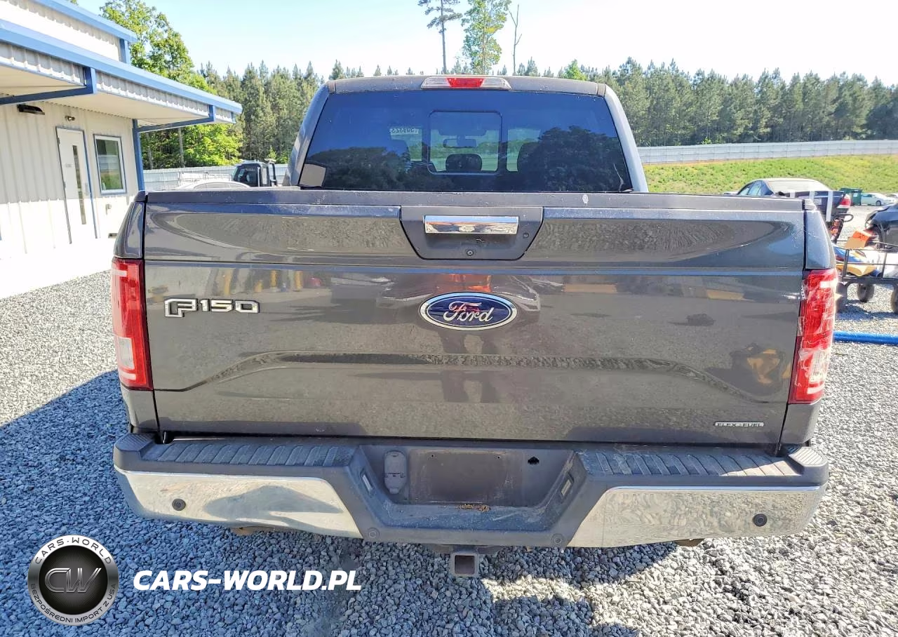 2016 Ford F150 Supercrew VIN:1FTEW1C85GFA89471 - 6