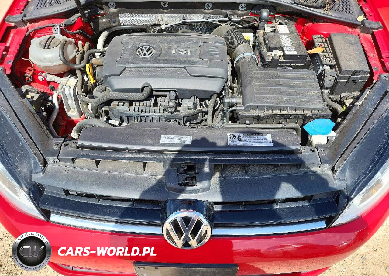 2017 Volkswagen Golf Sportwagen S VIN:3VWC17AU6HM500951 - 12