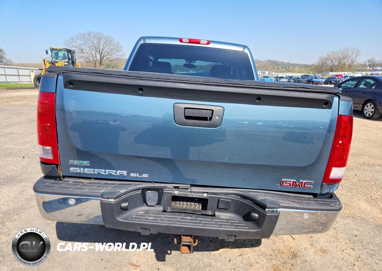 2010 GMC Sierra K1500 Sle VIN:3GTRKVE33AG224832 - 6