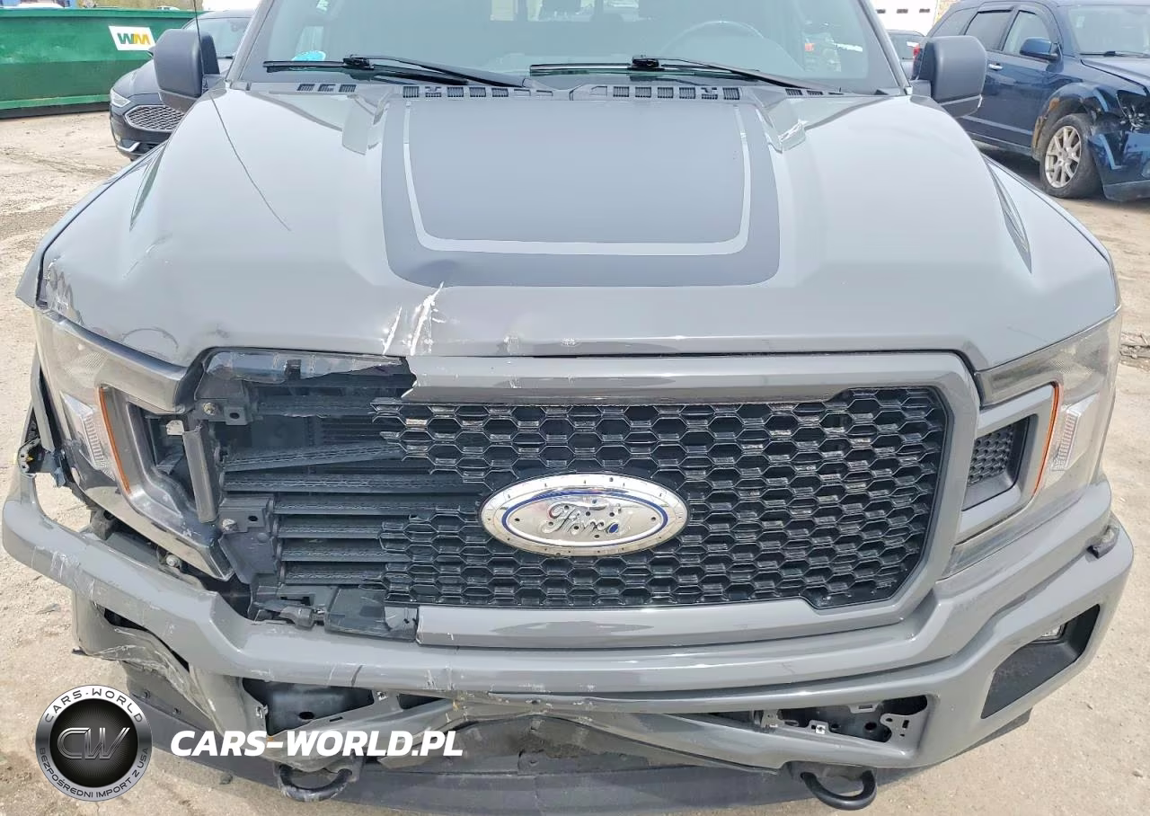 2018 Ford F150 Supercrew VIN:1FTEW1EP9JFE45660 - 11