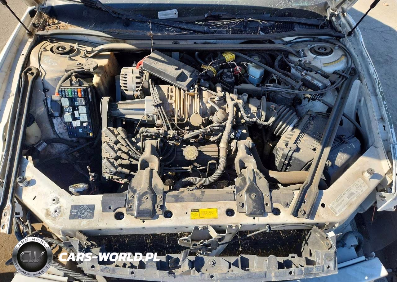 2000 Buick Regal Gs VIN:2G4WF5519Y1297028 - 11