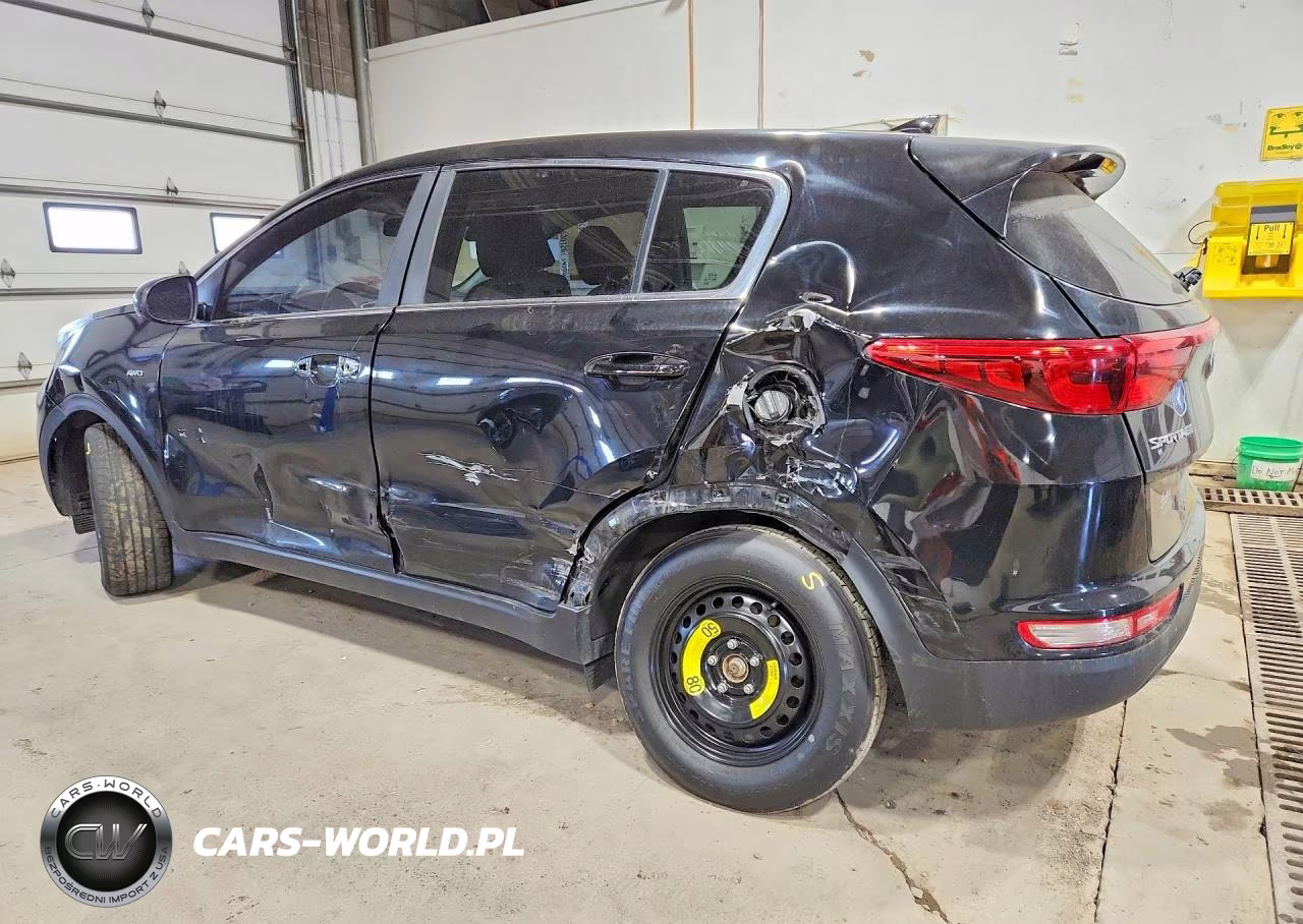 2019 Kia Sportage Lx VIN:KNDPMCAC9K7513027 - 2