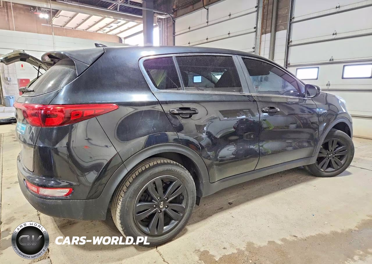 2019 Kia Sportage Lx VIN:KNDPMCAC9K7513027 - 3