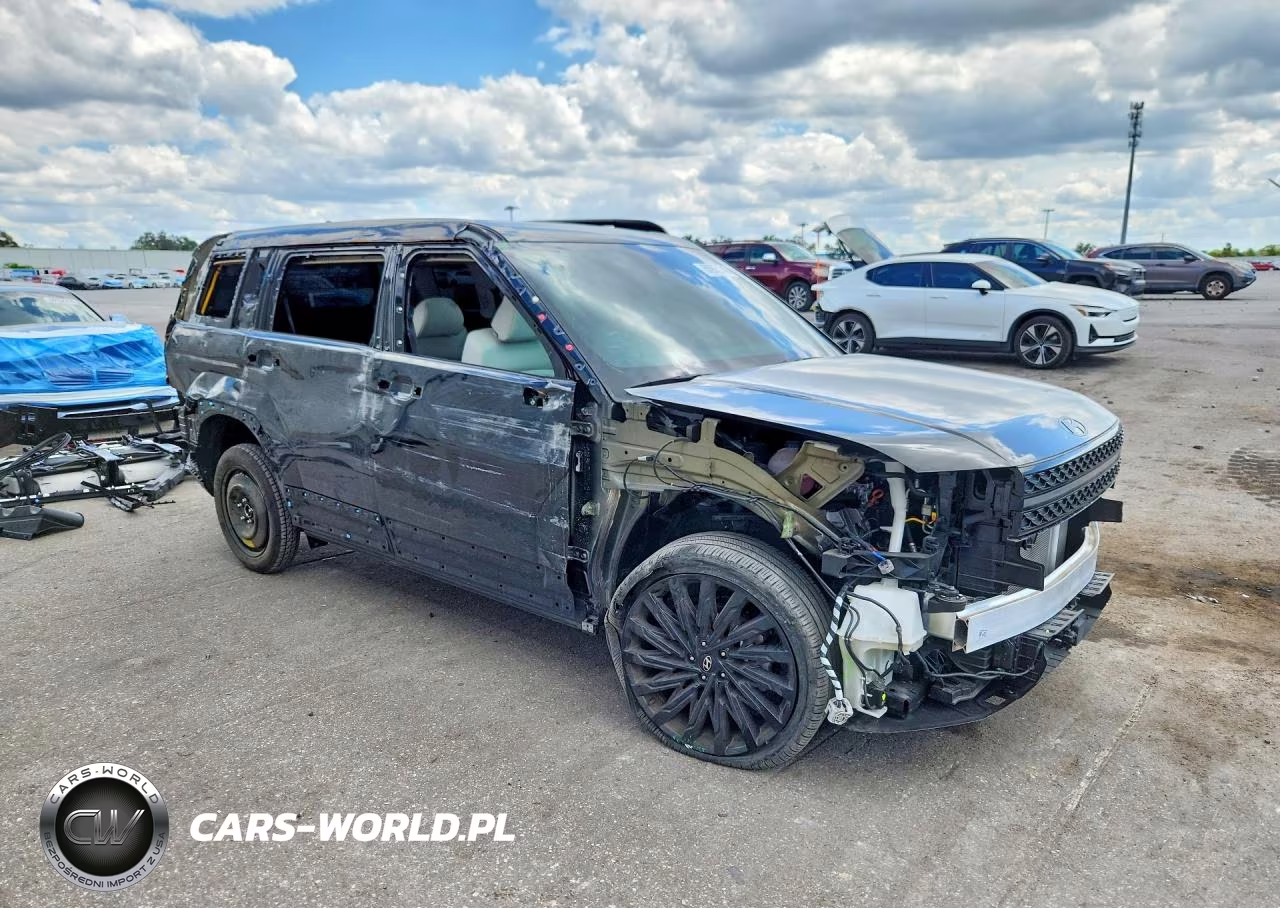 2024 Hyundai Santa Fe Calligraphy VIN:5NMP54GL3RH017816 - 4