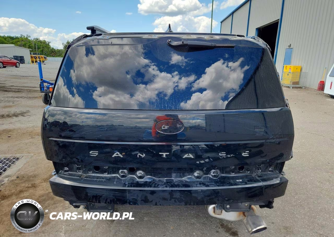 2024 Hyundai Santa Fe Calligraphy VIN:5NMP54GL3RH017816 - 6