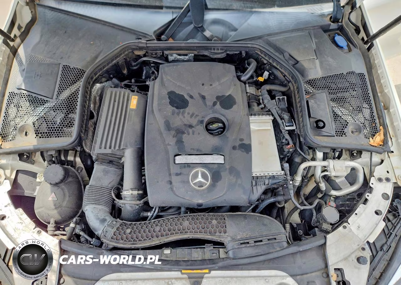 2017 Mercedes-Benz C 300 VIN:55SWF4JBXHU222976 - 11