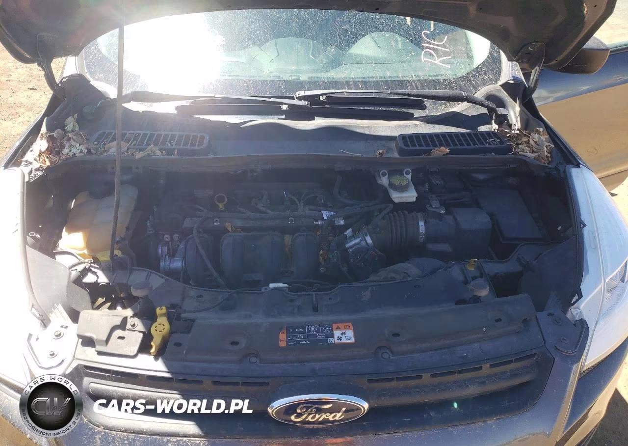 2015 Ford Escape S VIN:1FMCU0F7XFUC25724 - 11