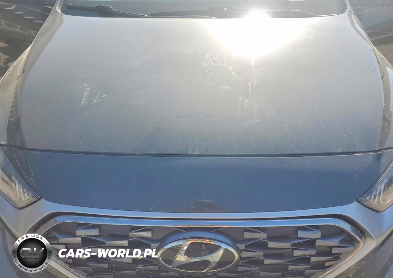 2021 Hyundai Ioniq Hybrid Sel VIN:KMHC85LCXMU248338 - 11
