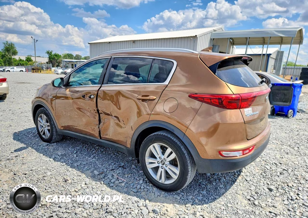 2017 Kia Sportage Lx VIN:KNDPMCAC5H7206303 - 2