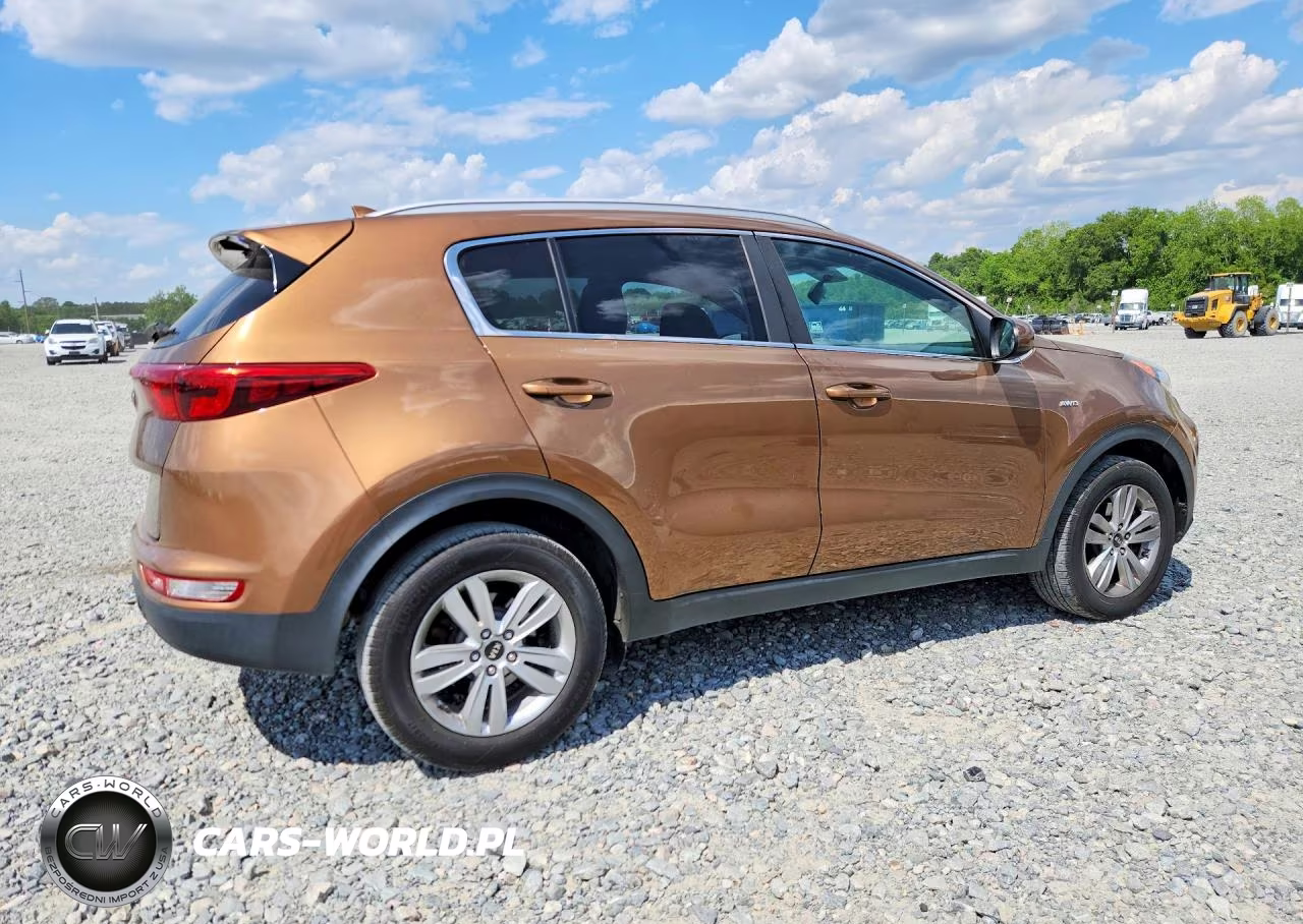 2017 Kia Sportage Lx VIN:KNDPMCAC5H7206303 - 3