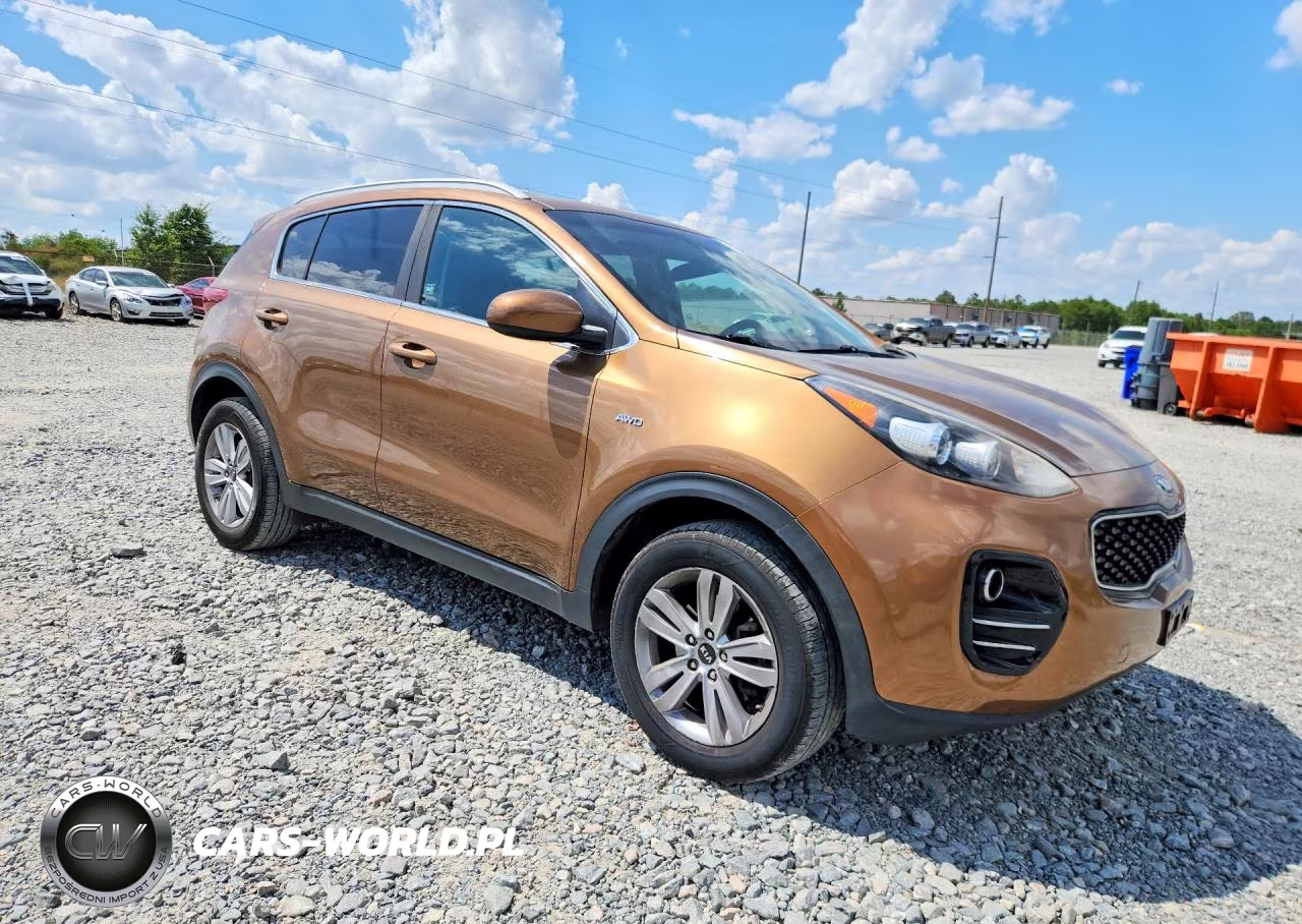 2017 Kia Sportage Lx VIN:KNDPMCAC5H7206303 - 4