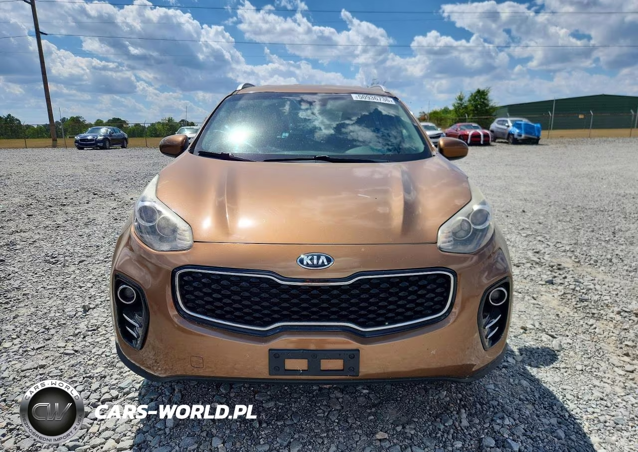 2017 Kia Sportage Lx VIN:KNDPMCAC5H7206303 - 5