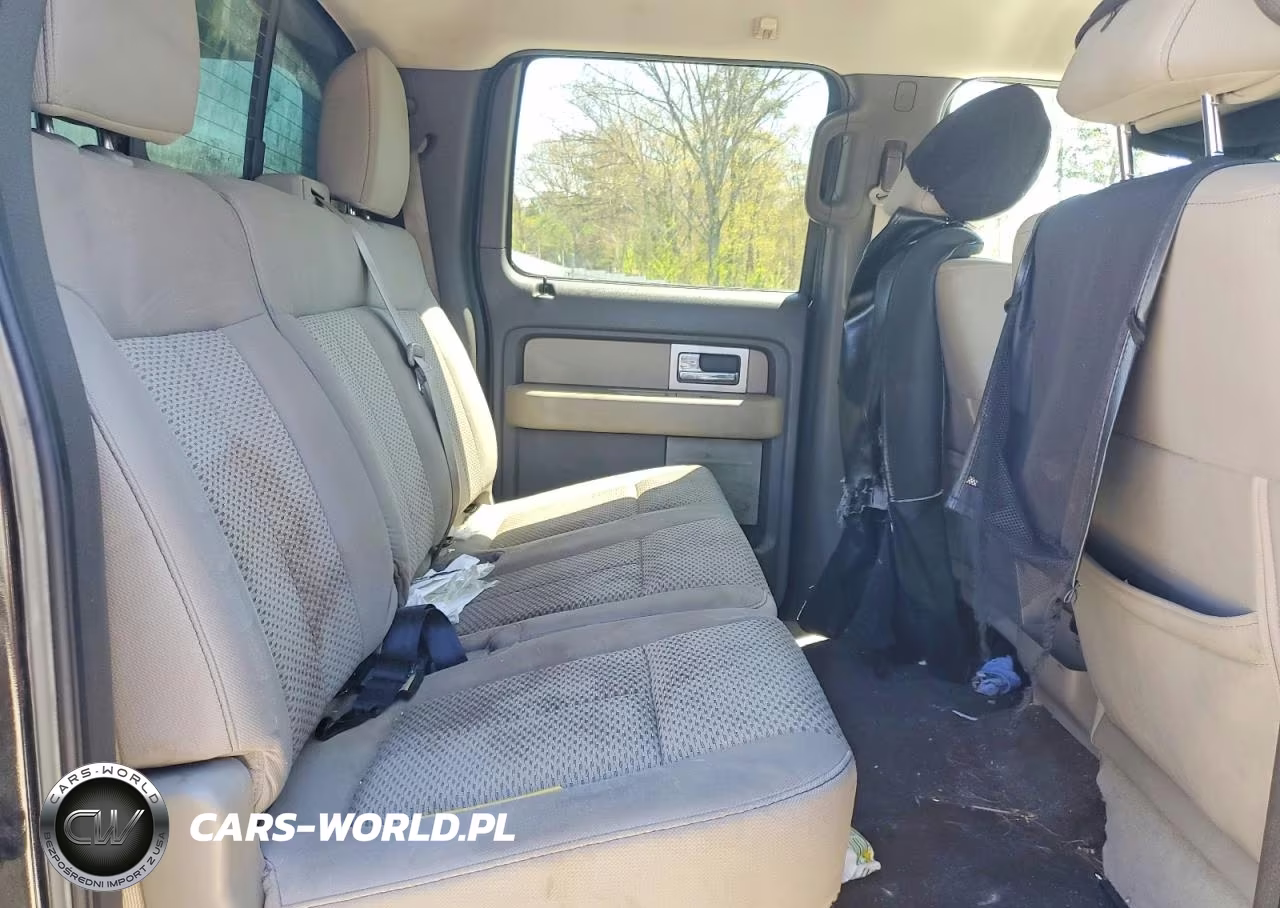 2010 Ford F150 Supercrew VIN:1FTFW1EV4AFC14295 - 10
