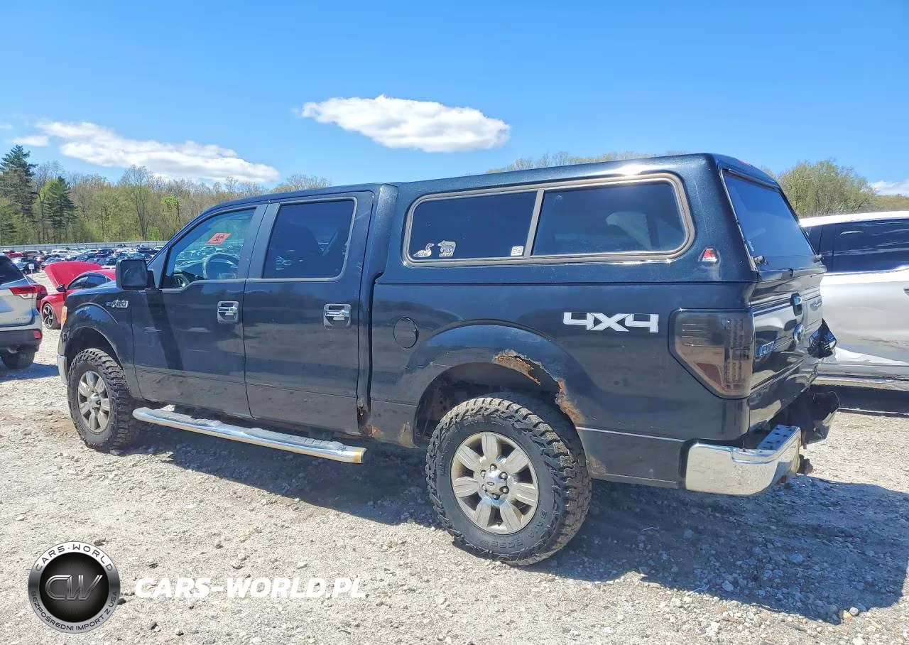 2010 Ford F150 Supercrew VIN:1FTFW1EV4AFC14295 - 2