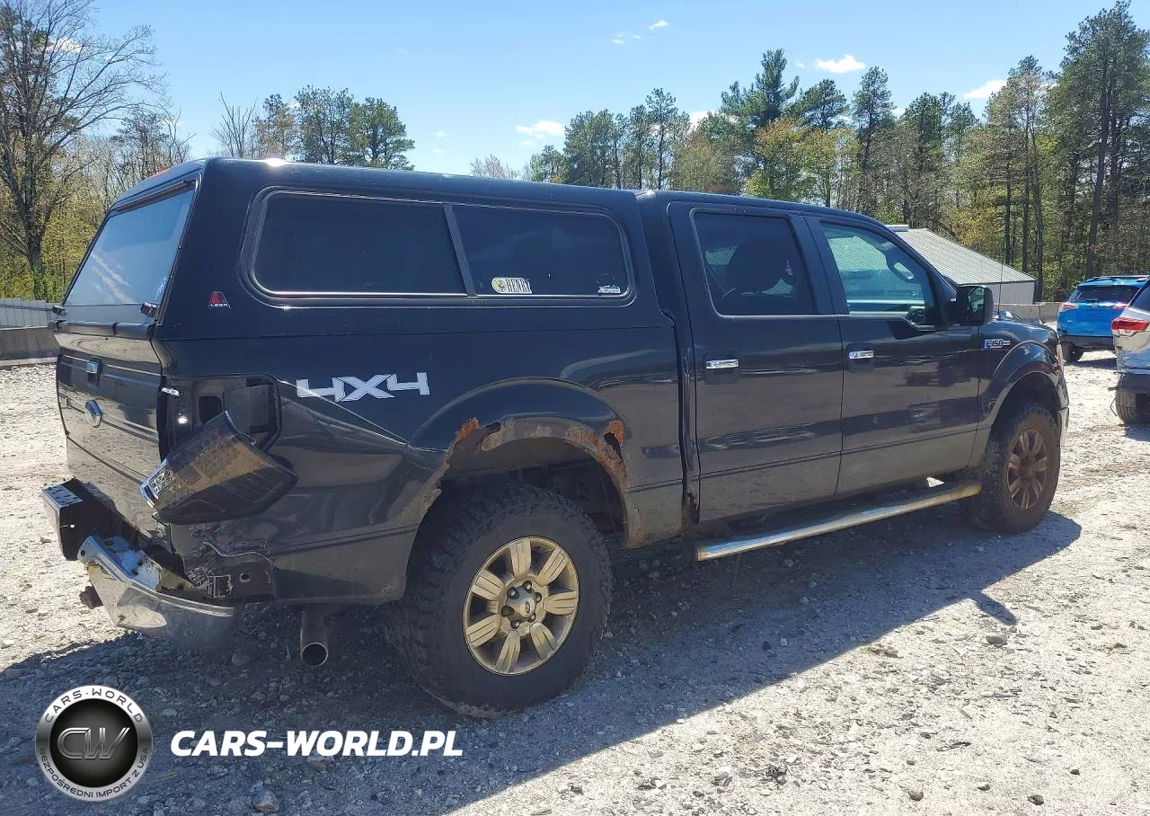 2010 Ford F150 Supercrew VIN:1FTFW1EV4AFC14295 - 3