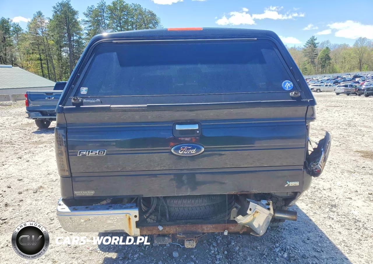 2010 Ford F150 Supercrew VIN:1FTFW1EV4AFC14295 - 6