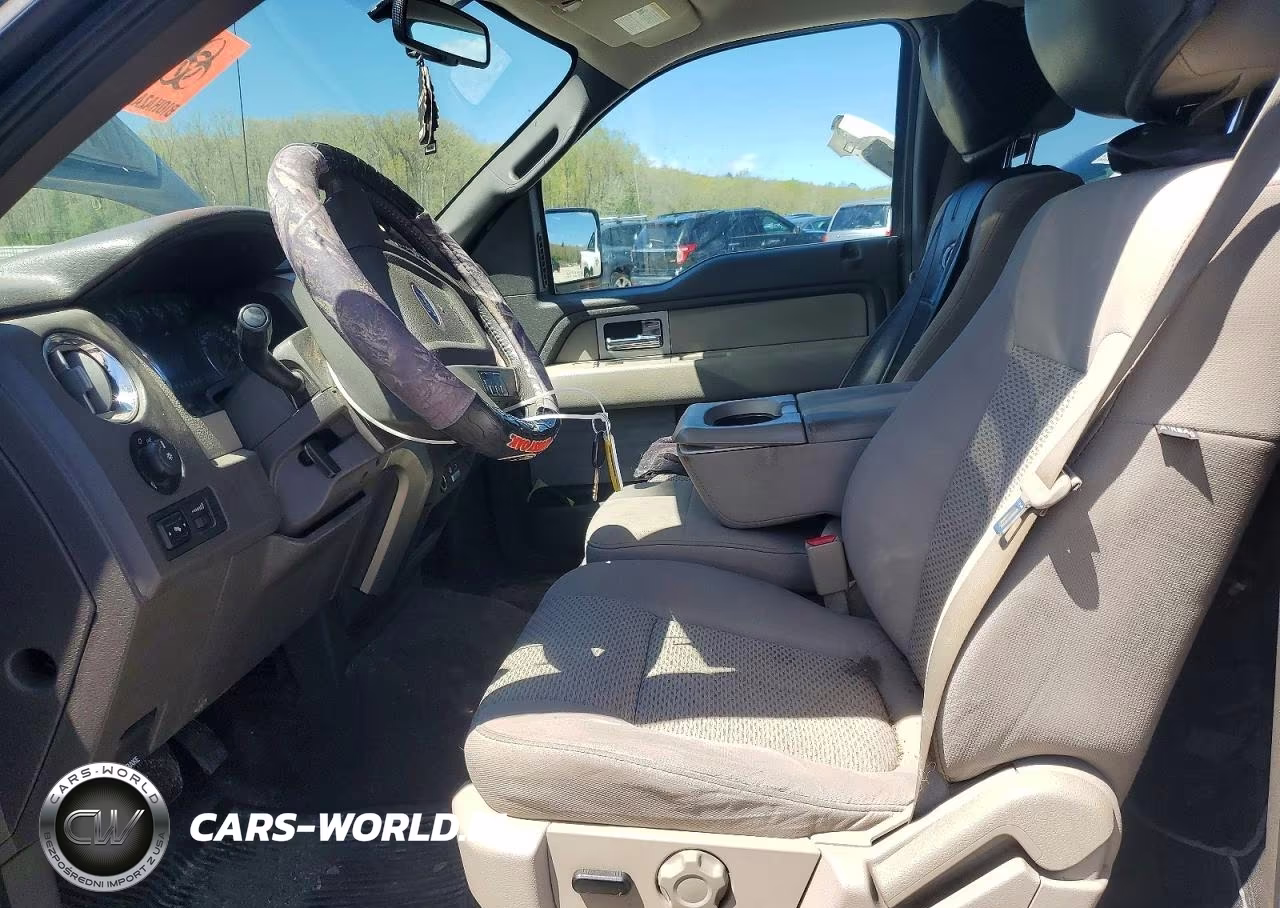2010 Ford F150 Supercrew VIN:1FTFW1EV4AFC14295 - 7