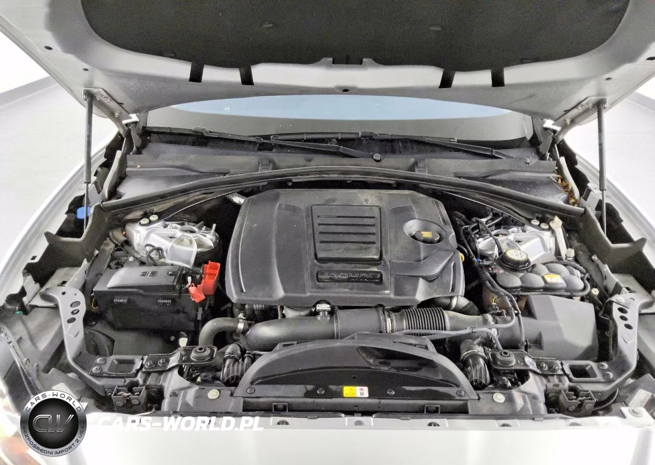 2019 Jaguar F-Pace Premium VIN:SADCJ2FX3KA355756 - 12