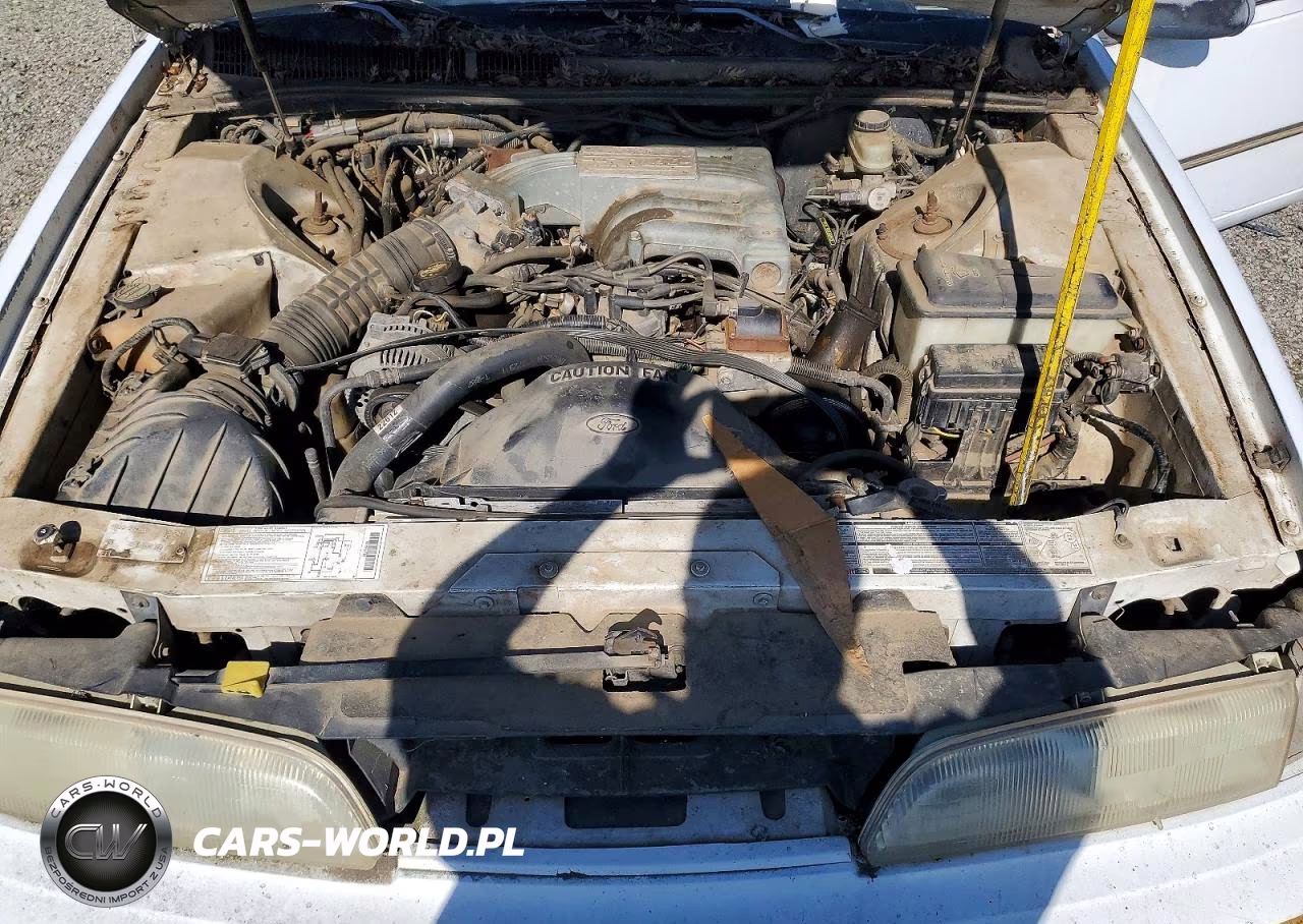 1991 Ford Thunderbird VIN:1FAPP60T7MH130247 - 11