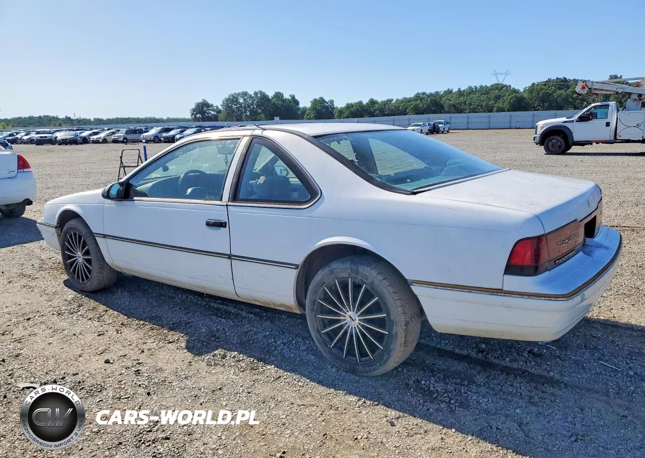 1991 Ford Thunderbird VIN:1FAPP60T7MH130247 - 2