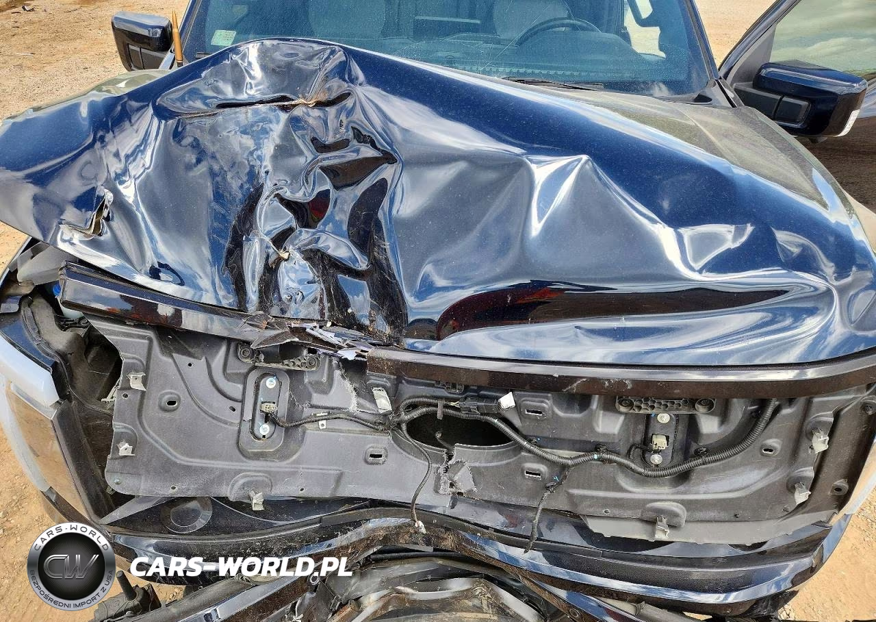 2023 Ford F150 Lightning Pro VIN:1FT6W1EV8PWG04700 - 11