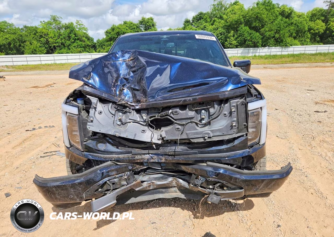 2023 Ford F150 Lightning Pro VIN:1FT6W1EV8PWG04700 - 5