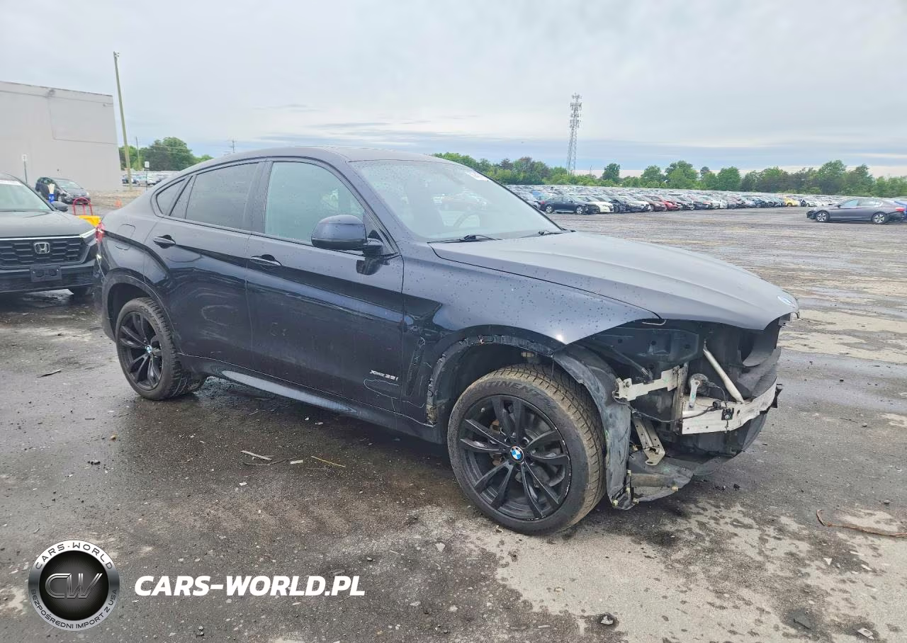 2016 BMW X6 xDrive35I VIN:5UXKU2C51G0N83915 - 4