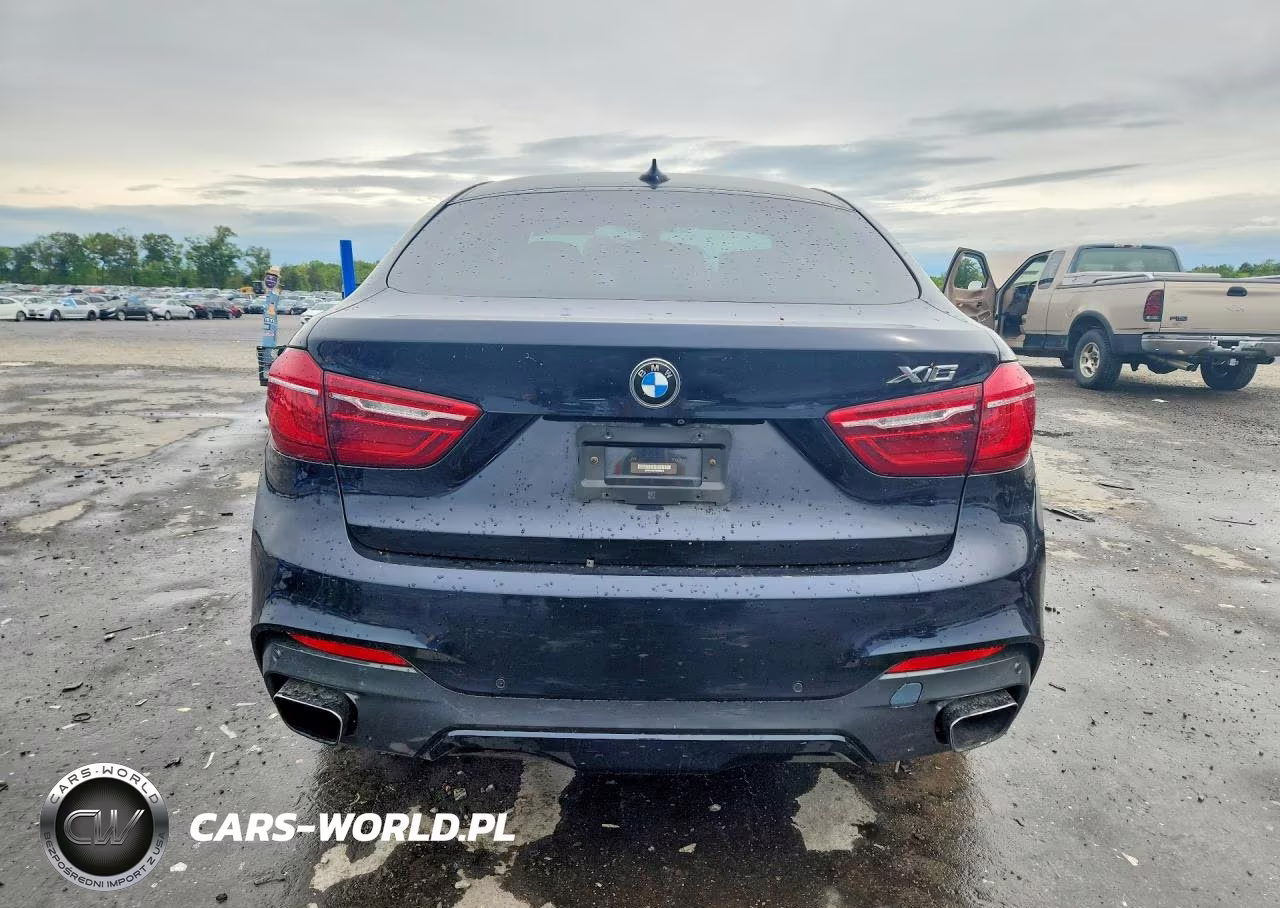 2016 BMW X6 xDrive35I VIN:5UXKU2C51G0N83915 - 6
