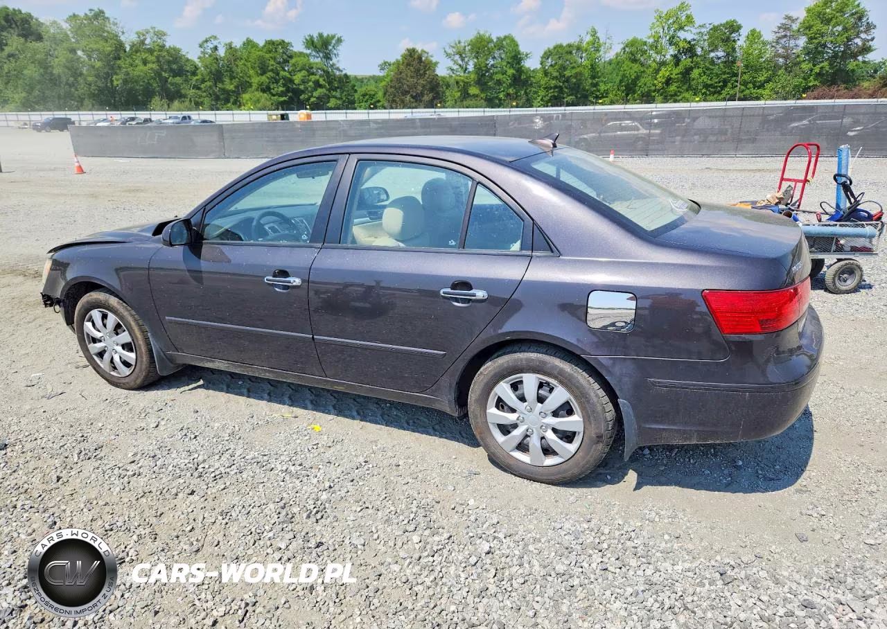 2010 Hyundai Sonata Gls VIN:5NPET4AC4AH620187 - 2