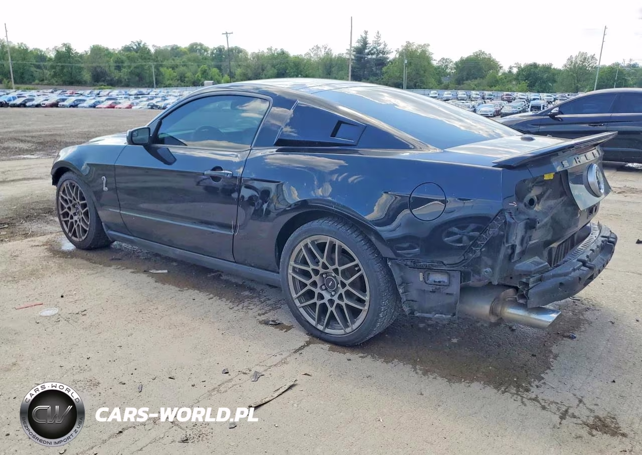 2011 Ford Mustang Shelby Gt500 VIN:1ZVBP8JS2B5141562 - 2