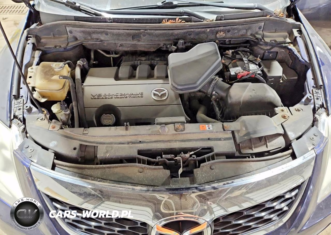 2010 Mazda Cx-9 VIN:JM3TB3MA0A0238094 - 12