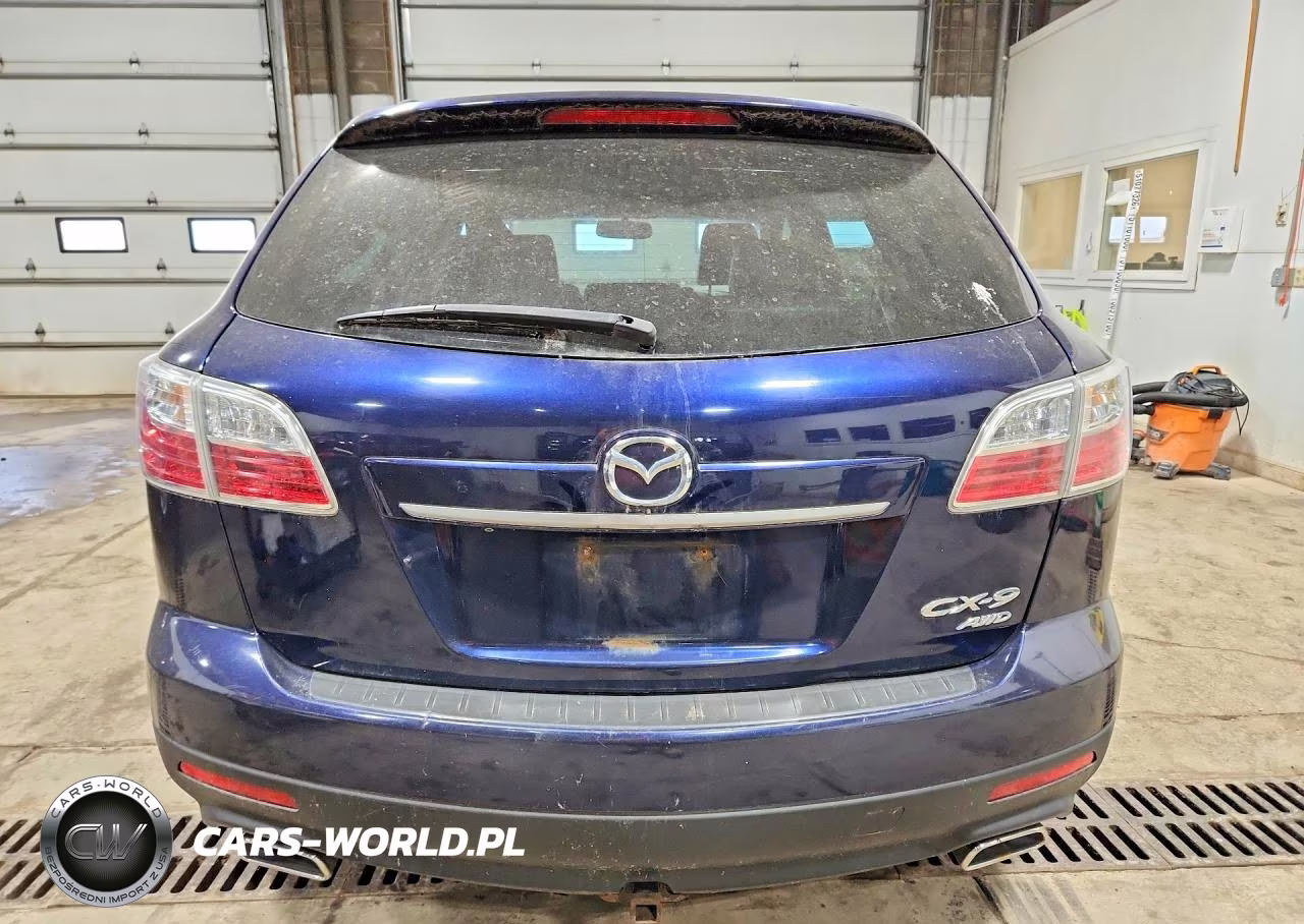 2010 Mazda Cx-9 VIN:JM3TB3MA0A0238094 - 6