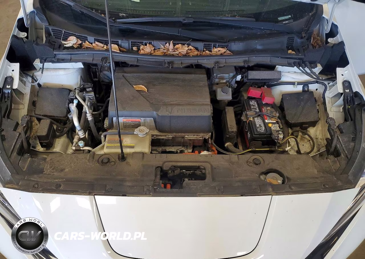 2020 Nissan Leaf Sl Plus VIN:1N4BZ1DP9LC300317 - 12