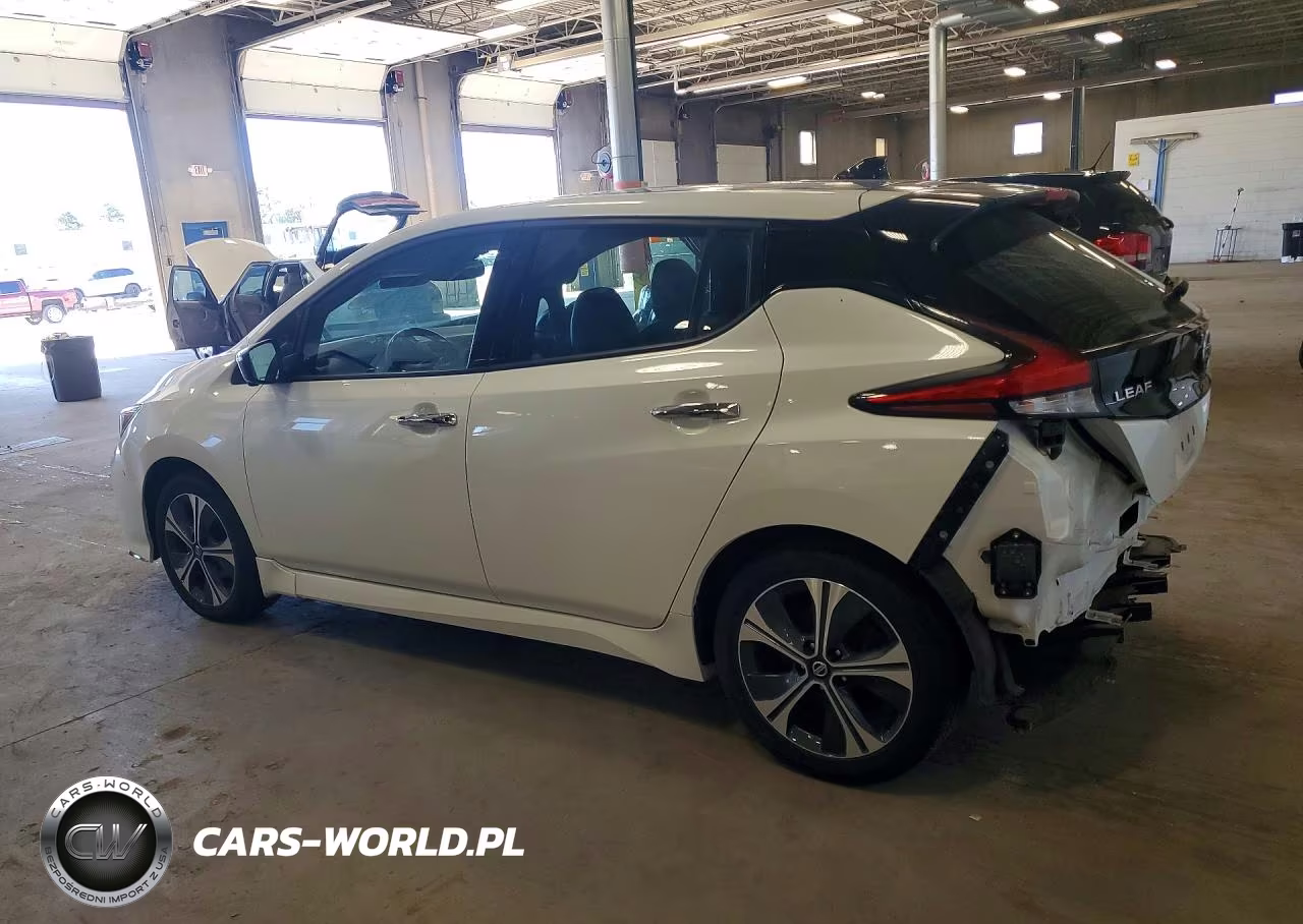 2020 Nissan Leaf Sl Plus VIN:1N4BZ1DP9LC300317 - 2