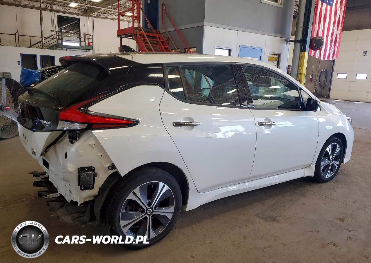 2020 Nissan Leaf Sl Plus VIN:1N4BZ1DP9LC300317 - 3