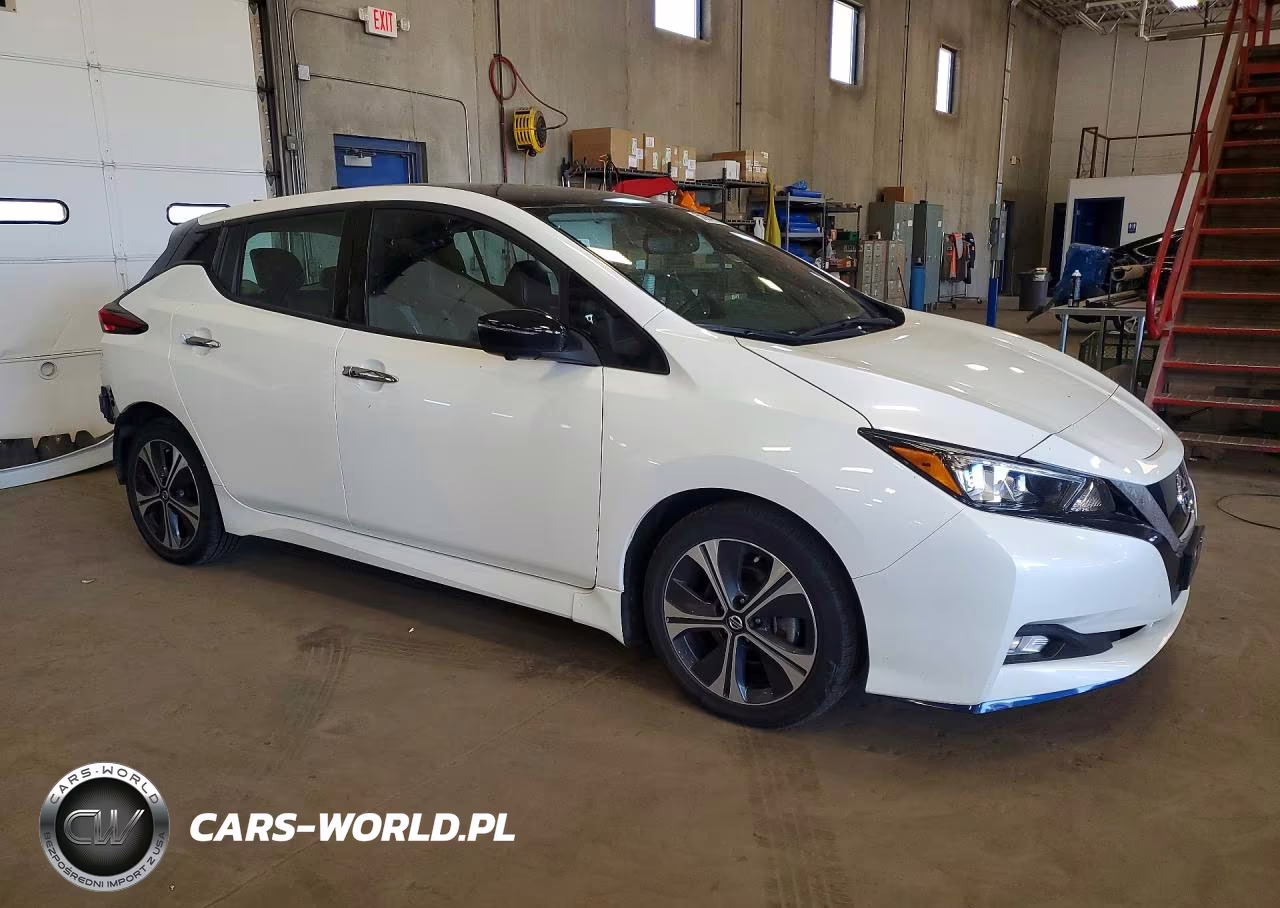 2020 Nissan Leaf Sl Plus VIN:1N4BZ1DP9LC300317 - 4