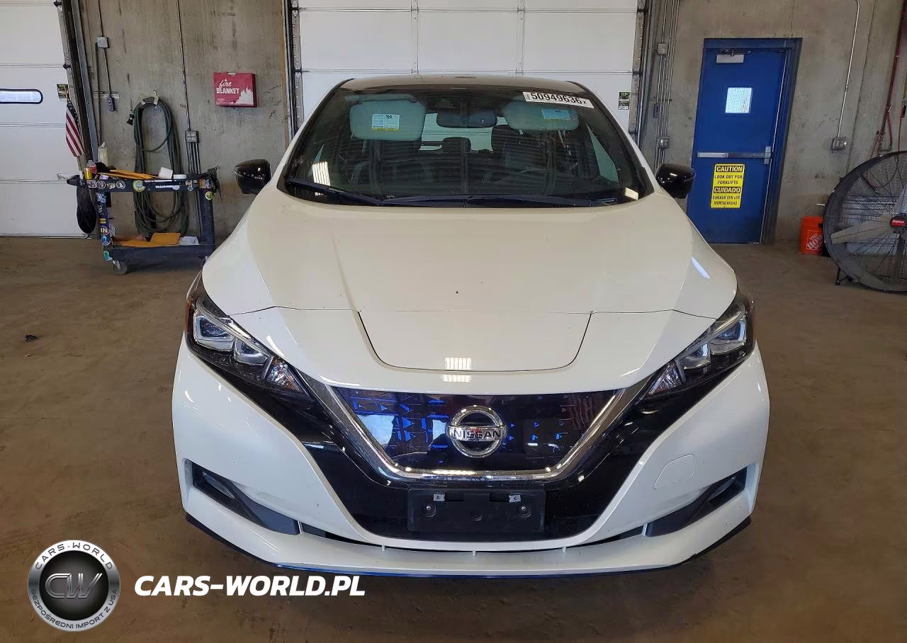 2020 Nissan Leaf Sl Plus VIN:1N4BZ1DP9LC300317 - 5