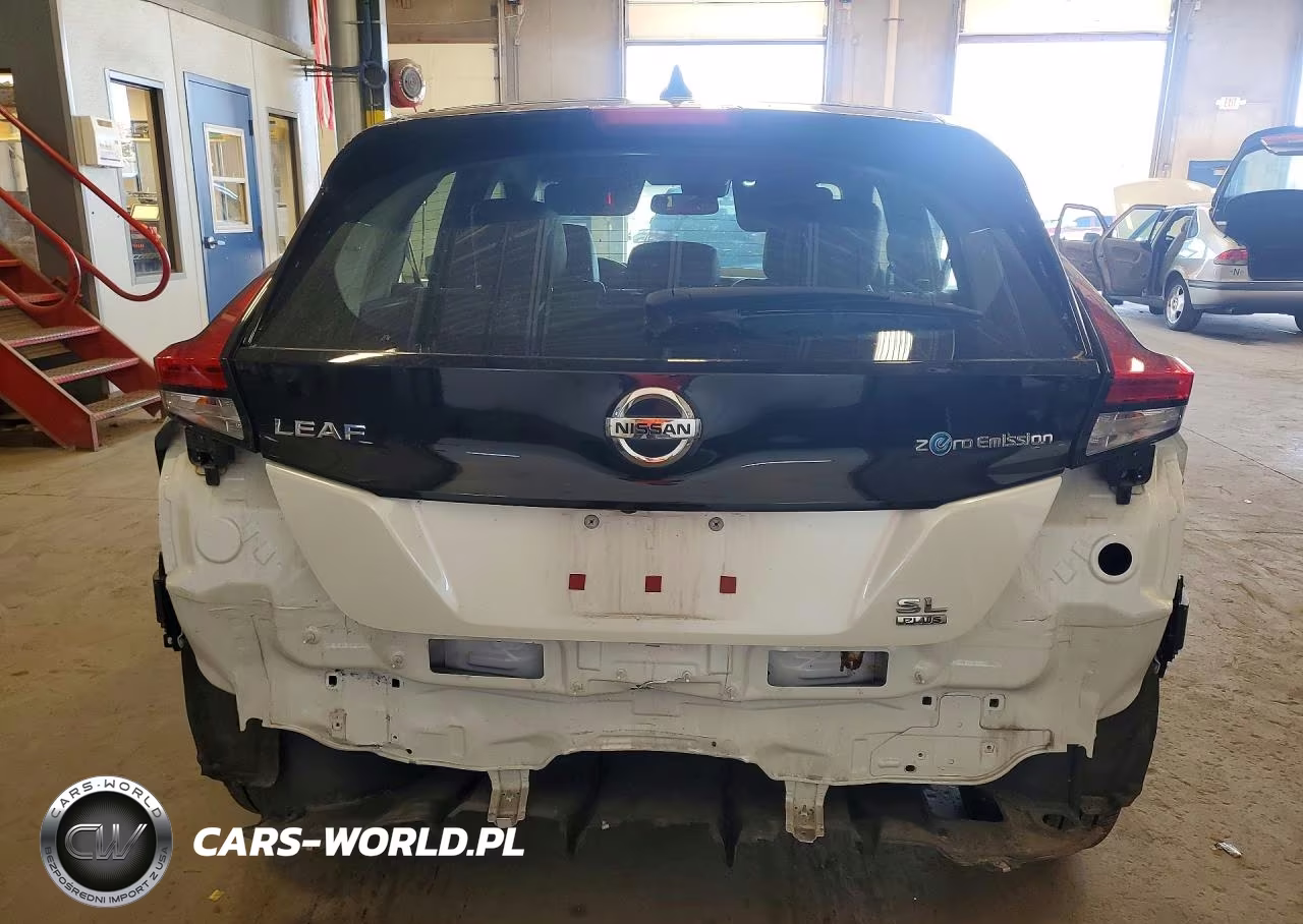 2020 Nissan Leaf Sl Plus VIN:1N4BZ1DP9LC300317 - 6