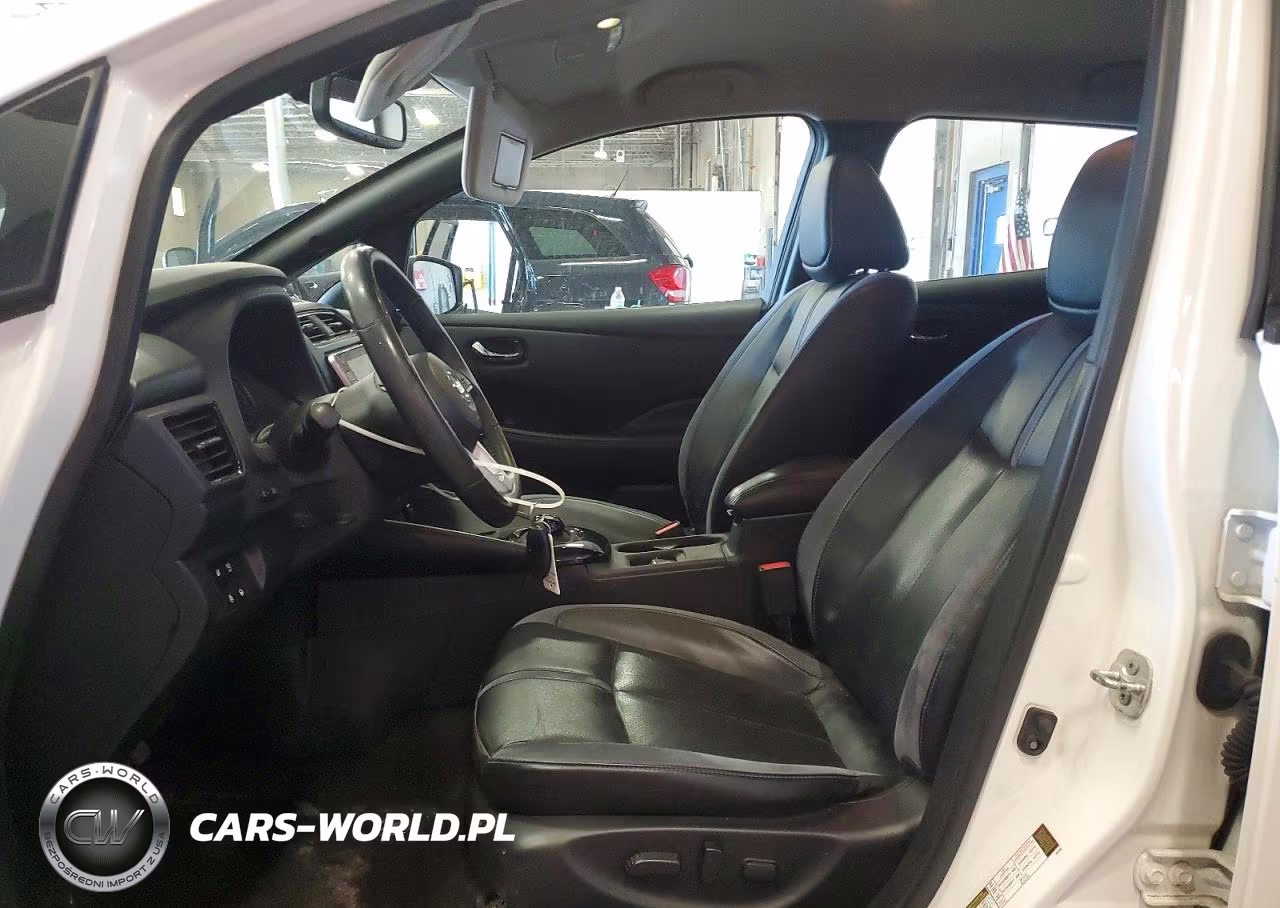2020 Nissan Leaf Sl Plus VIN:1N4BZ1DP9LC300317 - 7