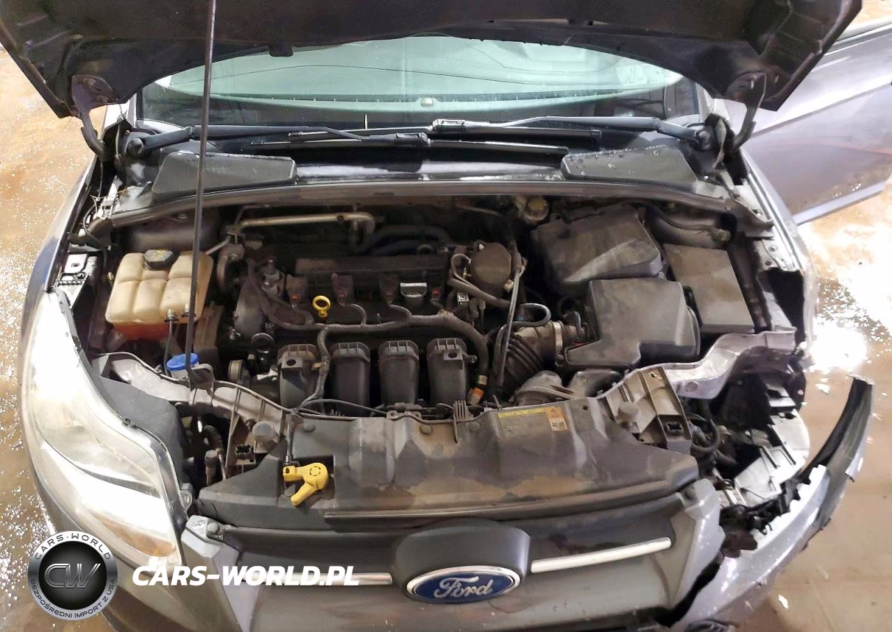 2014 Ford Focus Se VIN:1FADP3K24EL204356 - 12